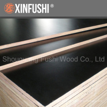 18mm Black / Brown film Faced Waterproof Shutter Concrete Formwork for Thailand market